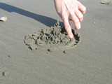 List_img_3361