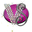 ShiningViolet