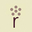 popcorntree