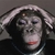 gorillina76