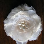 normal_fiore bianco.jpg