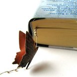 normal_IMG_0370-2.JPG