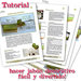 normal_tutorial kiwi1.jpg