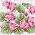normal_ciclamini c - susanna 022007.JPG