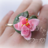 normal_anello waterlily.jpg