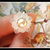 normal_DSC03328b.jpg