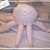 normal_Polipilla 006.jpg