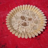 normal_laupäevased pildid 011.JPG