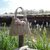normal_DSC01376.JPG