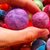 normal_palline feltro 005.JPG