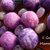 normal_collana feltro violetto 030.JPG