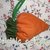normal_borsa carota 2.png