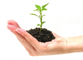 Business%20start-up%20mistakes