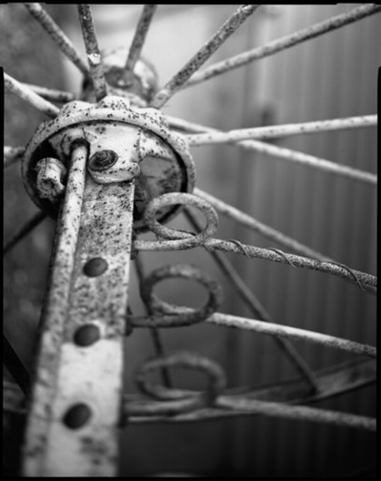 Wheel_2_by_deboraprado_show