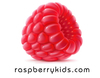 raspberry kids, cool gifts for kids, toys, kids clothing, kids gear, organic toys, wooden toys, Plan Toys, boon, boon inc., dwellstudio, green toys, redfish kids clothing, online lifestyle store for kids, raspberrykids