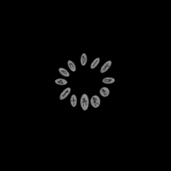 Demdike_panel1_small