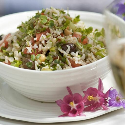 Alfalfa Meal For Plants Near Me