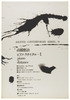 099(d)