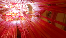 Camera_sf_12-7-12_414