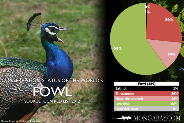 Chart: conservation status of the world's fowl (pheasants, guans, and allies)