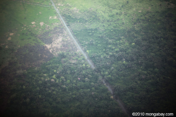 Canal used to drain swamp in the Choco