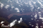 Aerial view of oil palm plantations on peatlands in Sumatra [java_0018]