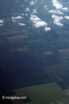 Aerial view of oil palm plantations on peatlands in Sumatra [java_0023]