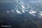 Aerial view of oil palm plantations on peatlands in Sumatra [java_0024]