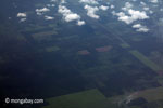 Aerial view of oil palm plantations on peatlands in Sumatra [java_0026]