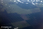 Aerial view of oil palm plantations on peatlands in Sumatra [java_0029]