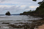 Waves breaking on the ocean-side coastline of Peucang Island [java_0071]