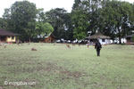 Deer on the grass at Peucang Island camp [java_0130]