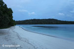 Beach on Peucang Island [java_0135]