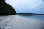 Beach on Peucang Island [java_0136]