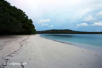 Beach on Peucang Island [java_0137]