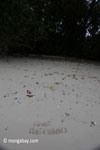 'Save The Rhino' inscribed in the sand of a white-sand beach