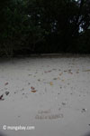 'Save The Rhino' written on a white-sand beach