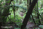 Ranger camp in the rainforest