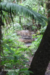 Ranger camp site in the rain forest