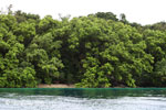 Rainforest and turquoise ocean [java_0260]