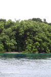 Rainforest and turquoise ocean [java_0261]