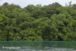 Rainforest and turquoise ocean [java_0265]