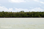 Rainforest of Ujung Kulon as seen from the sea [java_0277]