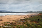 Ujung Kulon beach [java_0313]