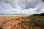 Ujung Kulon beach