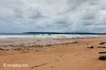 Surfing melanggar di sebuah pantai di Ujung Kulon