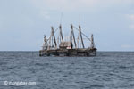 Traditional fishing boat [java_0378]