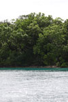 Coastline of Peucang Island [java_0393]