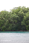 Coastline of Peucang Island [java_0394]