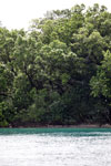 Coastline of Peucang Island [java_0395]